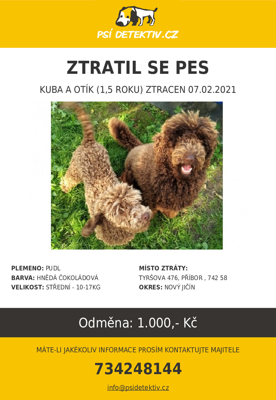 Ztratil se pes